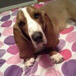 Profile Picture of bruce (@bruce_____boyd) on Instagram