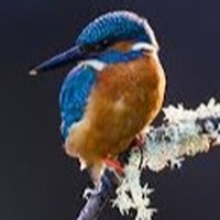 Profile Picture of Jonathan Lennon (@jonathan-lennon-1) on Quora