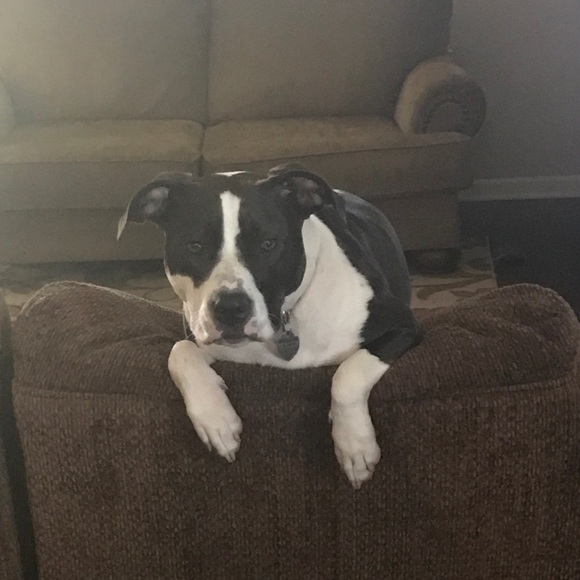 Profile Picture of Rusty Garrett (@rg4ua5) on Poshmark