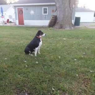 Profile Picture of Loosbud (@JonVestal2) on Twitter