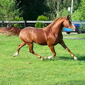 Profile Picture of Amanda Thoe (@amandathoe1297) on Youtube