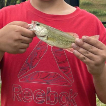 Cassandra Warner - Tiktok Profile Picture of Cassandra Warner (@@cassandrawarner) on Tiktok