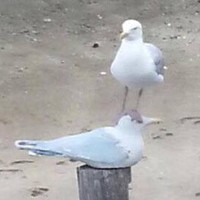 Profile Picture of Mark Curtis Jesus Loew-berdymukhamedov  (@mark-curtis-jesus-loew-berdymukhamedov) on Quora