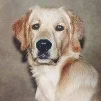 Profile Picture of Thomas Gallihugh (@thomas-gallihugh) on Quora