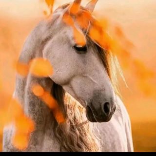 Profile Picture of Eva Quinton (@eva.quinton.9) on Facebook