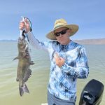 Profile Picture of Richard Stoker (@totaly_stoked1971) on Instagram