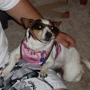 Profile Picture of Jeremy Lambert (@jeremylambertrn) on Myspace