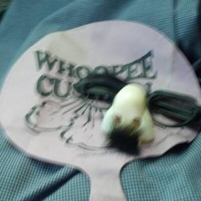 Profile Picture of Vincent Settecasi (@Vinny9toes) on Twitter