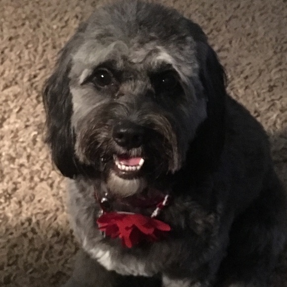 Profile Picture of Missy Rounsaville (@missyr18) on Poshmark