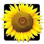 Profile Picture of Gail Wolfe (@gail.wolfe.92) on Instagram