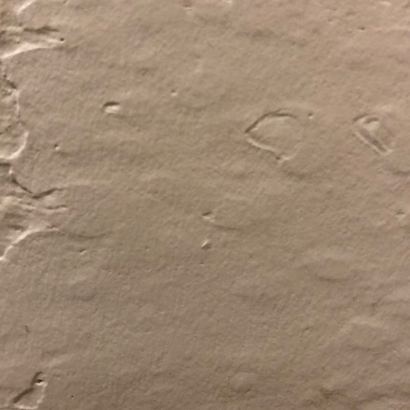 Profile Picture of Christopher Burell (@theburell) on Poshmark