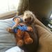 Profile Picture of Cynthia Yager (@cynthiayager) on Pinterest