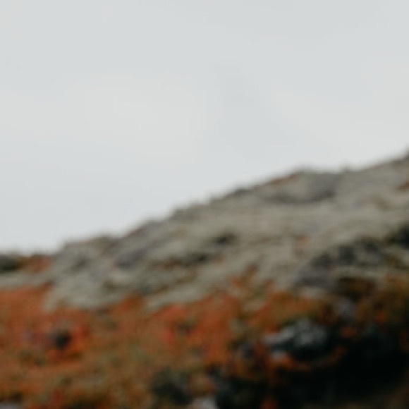 Profile Picture of Amanda Westrich (@westarich) on Poshmark