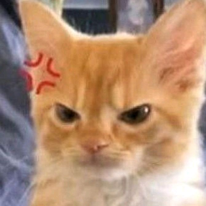 Profile Picture of Richard Bartels (@richardbartels419) on Tiktok