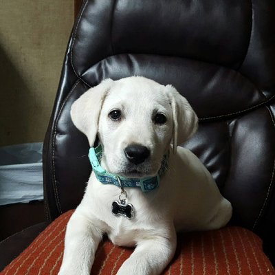 Profile Picture of Mark Gann (@kajunkujo) on Twitter