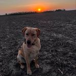 Profile Picture of Max McCabe (@max_mccabe08) on Instagram