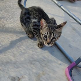 Profile Picture of Huseyin Ensar (@aydinhuseyinensarcom) on Pinterest