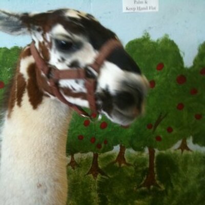 Profile Picture of Steve Salas (@stevesalas) on Twitter