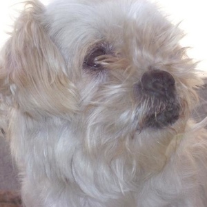 Ashley Steadman - Myspace Profile Picture of Ashley Steadman (@157631991) on Myspace