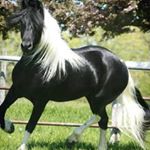 Profile Picture of Omar Perales (@omar.perales.739) on Instagram