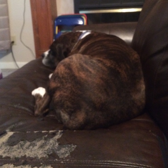 Profile Picture of Doug Clark (@dug66) on Poshmark