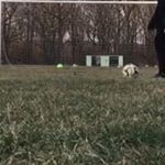 Profile Picture of Michael Janczak (@mici101z) on Instagram