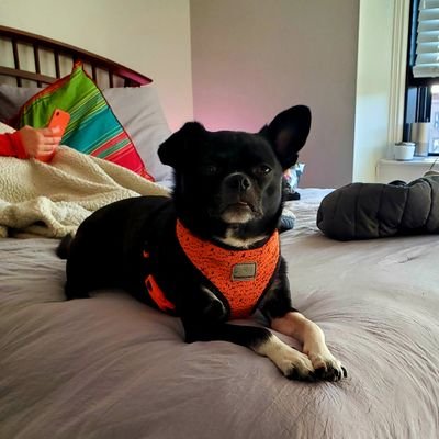 Profile Picture of Justin Auld (@JustinAuld5) on Twitter