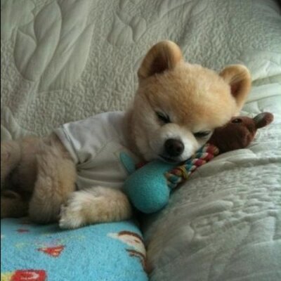 Michael Situ - Twitter Profile Picture of Michael Situ (@Michael_Situ) on Twitter