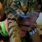 Profile Picture of Molly BraunsbergScott (@molly.braunsbergscott) on Facebook