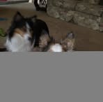 Profile Picture of Denise Minnick (@denise.minnick.37) on Facebook