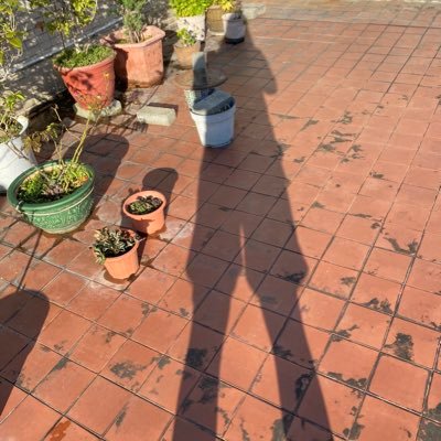 Profile Picture of Jimmy Tsui (@JimmyTsui5) on Twitter