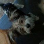 Profile Picture of Lisa Leyba (@leyba9963) on Instagram