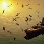 Cora Timmermann - Instagram Profile Picture of Cora Timmermann (@felishascheuring818) on Instagram