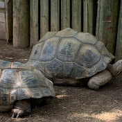 Profile Picture of Robert Snider And Son’s Vlogs (@robertsniderandsonsvlogs5015) on Youtube