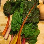 Profile Picture of Bud + Chris Lutterbie (@luttlutt_c) on Instagram