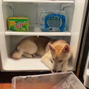 Profile Picture of Joey Ray (@joeyray728) on Youtube