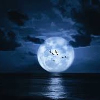 Profile Picture of Joyce Ball Jameson (@joyce-ball-jameson) on Quora