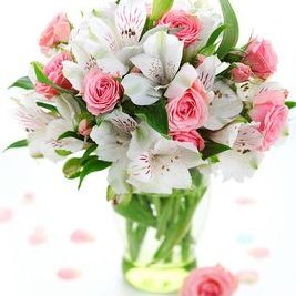 Profile Picture of Carla Zegarra (@ZegarraCarla) on Twitter