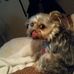 Profile Picture of Doris Granger (@Doris-Granger) on Facebook