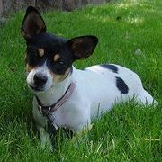 Profile Picture of Jean Clements (@beaner48) on Pinterest