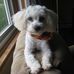 Profile Picture of Suzanne Shall (@suzanne.shall.9) on Facebook