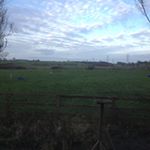 Profile Picture of John Penny Siddall (@johnpennysiddall) on Instagram