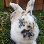 Profile Picture of Oldach_Finn (@oldach_finn) on Instagram