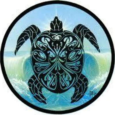 Profile Picture of Robin Hanks (@svanoe) on Twitter