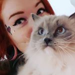 Profile Picture of Dani Green (@greenfoxsocks) on Instagram