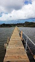 Profile Picture of Port Albert, New Zealandon Wikipedia