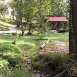 Profile Picture of Michelle Burris (@shellyburris14) on Instagram