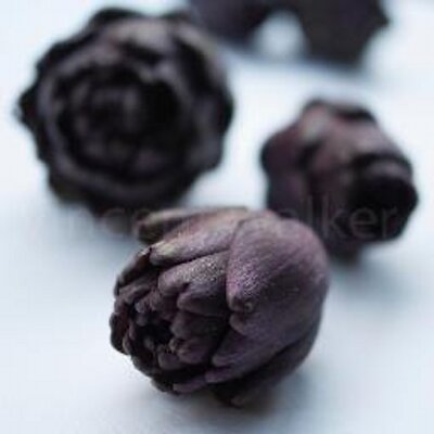 Profile Picture of Vince Walker (@chefphotographs) on Twitter