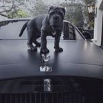 Profile Picture of Daniel Milner (@milnair) on Instagram