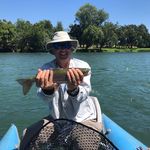 Profile Picture of Brian Chamberlain (@bchamberlain85) on Instagram